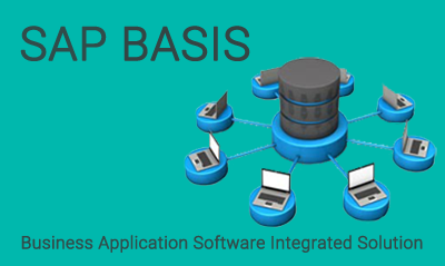 SAP BASIS Training