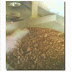Proctor Compaction Test
