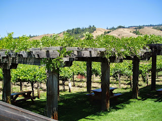 A winery in Northern CA