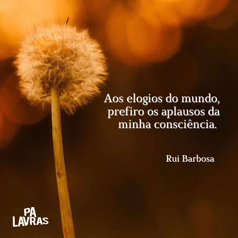 BlogMeiaHoraNoticias.com: Bom Dia