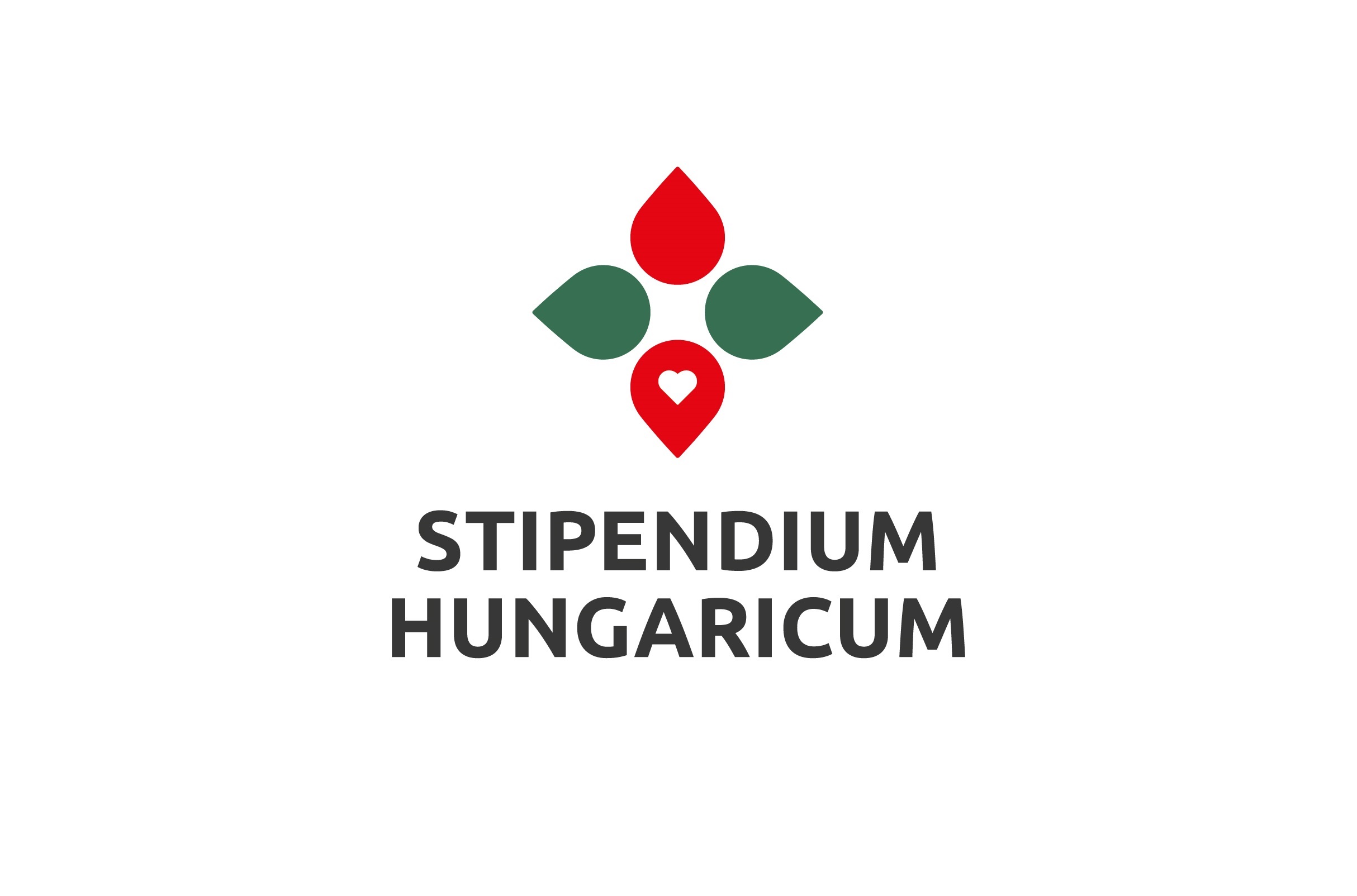Hungarian Government Scholarships