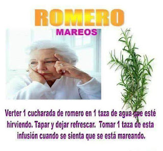 Beneficios del romero