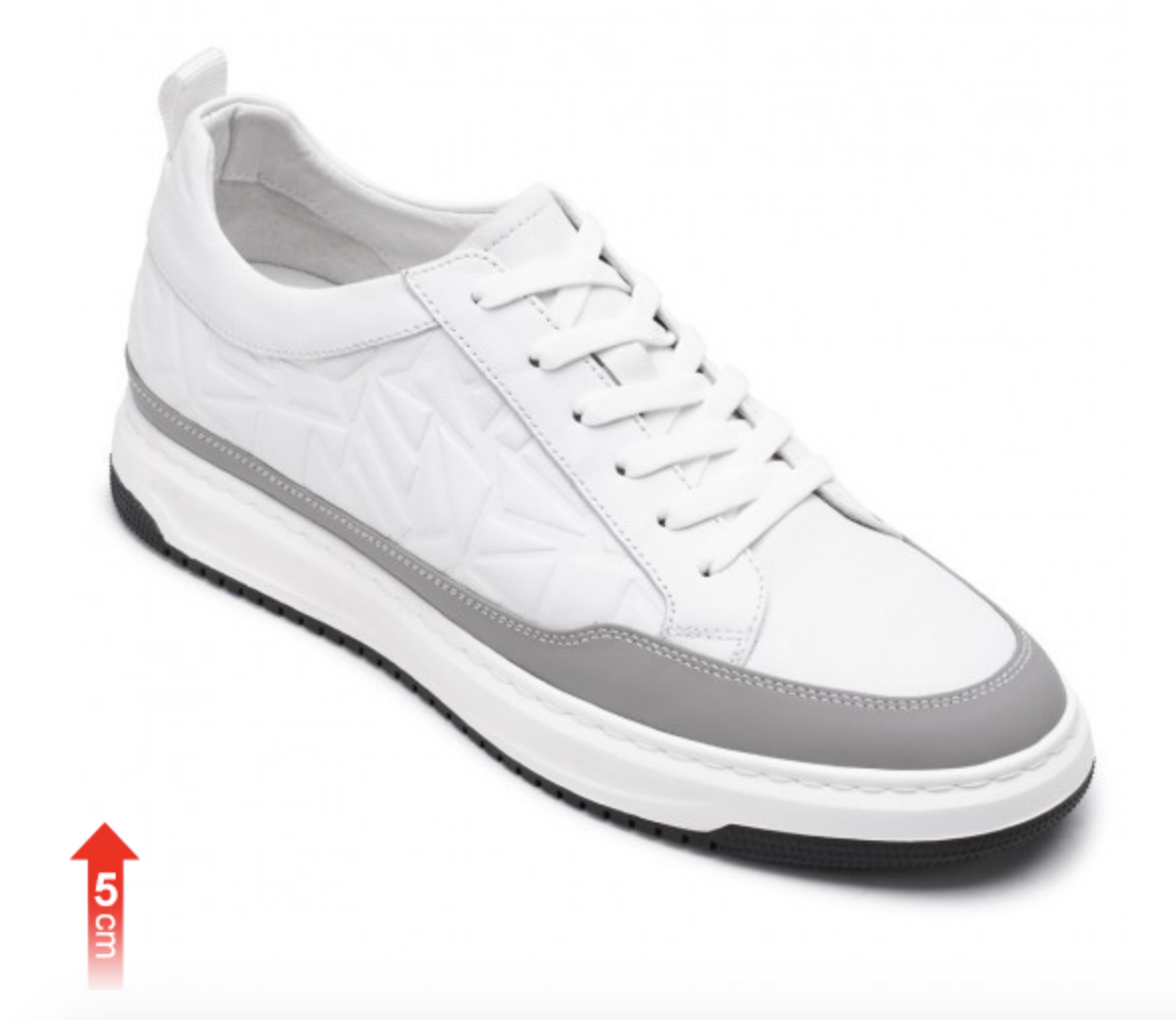 Aggregate 243+ elevator shoes sneakers super hot