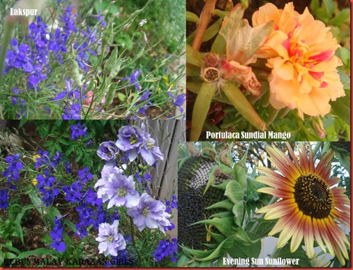 Flower seeds