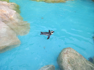 Jurong Bird Park, Singapore