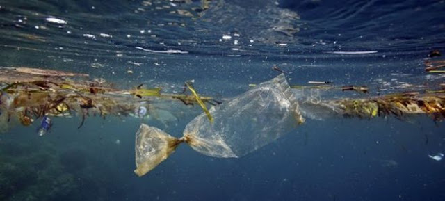 Susi Pudjiastuti Menyatakan Untuk Mengurangi Penggunaan Plastik