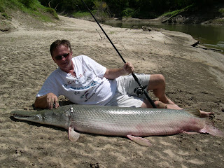 Alligator Gar Fish