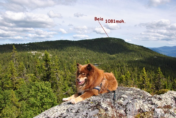 Beia 1081