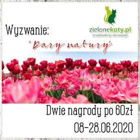 http://sklepzielonekoty.blogspot.com/2020/06/wyzwanie-dary-natury.html