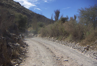 goats route 40 Cachi