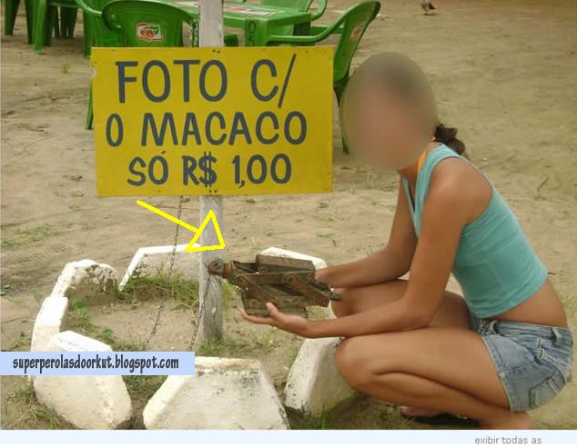 Foto c/ o macaco só R$1,00