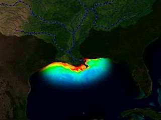 Dead Zone off of Gulf of Mexico, NOAA, dead zones, dead zone, Gulf of Mexico