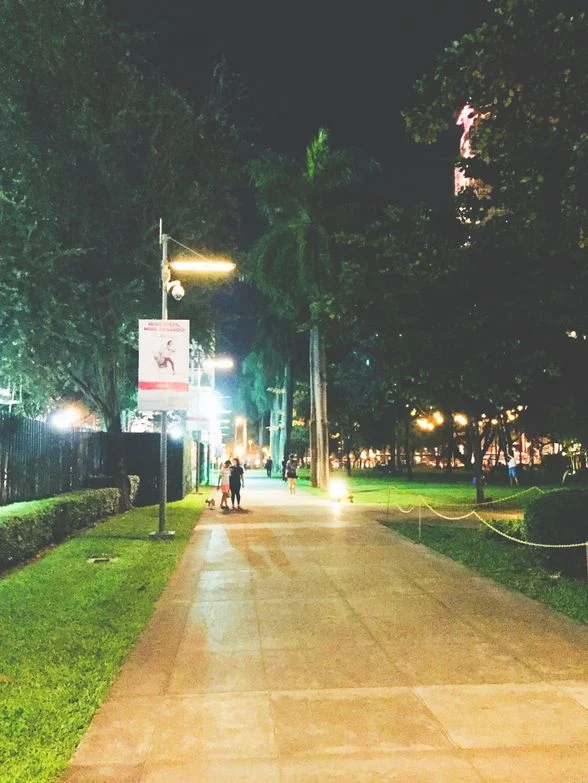 Path inside Ayala Triangle Gardens