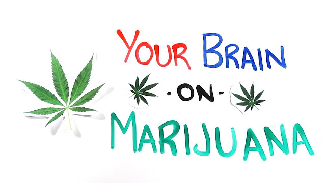 https://www.lazoi.com/Member/ViewArticle?A_ID=264&AH=Marijuana+and+its+effects+on+the+brain