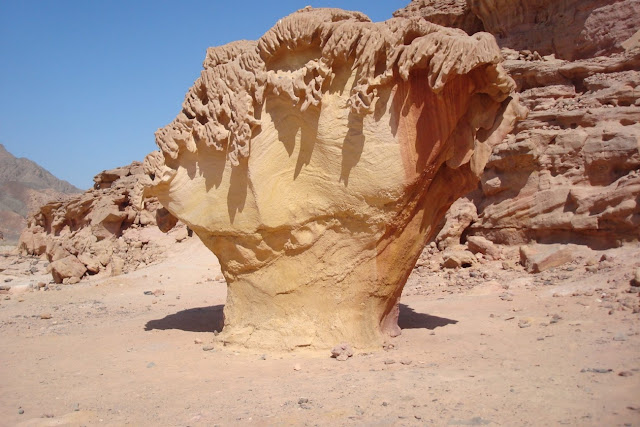 Белая Пустыня. Южный Синай. Каменные Грибы