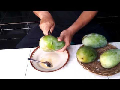 Nikmatnya Wisata Buah Mangga di Kampung Mangga Penggarit Pemalang