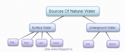 CBSE CLass 6 Science CH14 Water (MCQs)