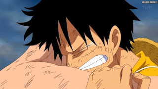 ワンピースアニメ 頂上戦争編 483話 ルフィ Monkey D. Luffy | ONE PIECE Episode 483