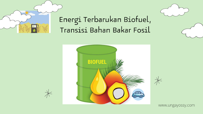 Energi Terbarukan Biofuel, Transisi Bahan Bakar Fosil