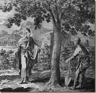 fig tree parable - 01x
