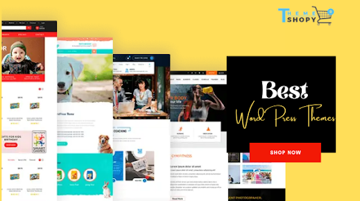 Best WordPress Themes