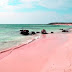 شاطىء من الرمال الوردية في جزيرة الباهاما 