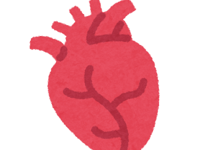臓器 心臓 イラスト かわいい 149155