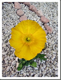 023