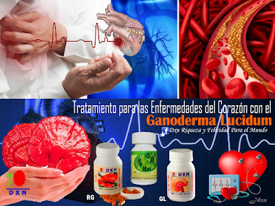 ganoderma dxn - salud y exito