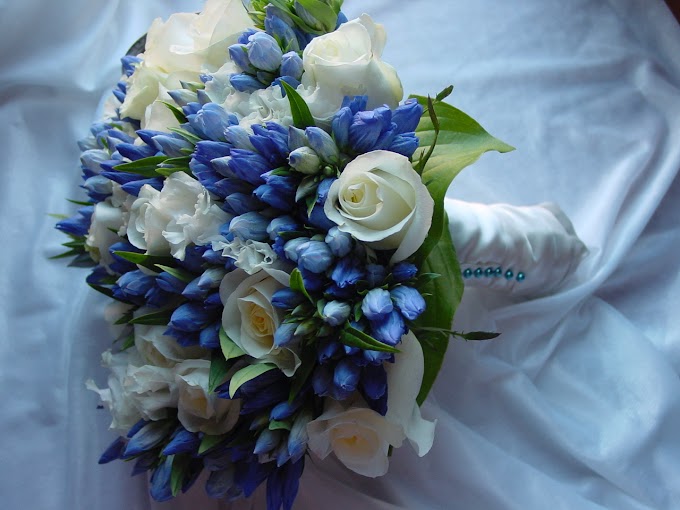 Amazing Wedding Bouquets With Blue Flowers Background