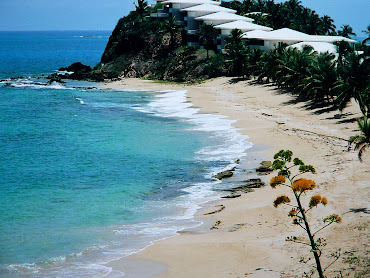 #23 Antigua and Barbuda Wallpaper