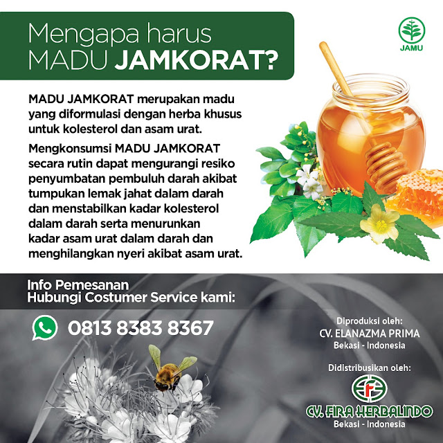 Herbal Asam Urat Paling Ampuh