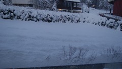 DSC03901