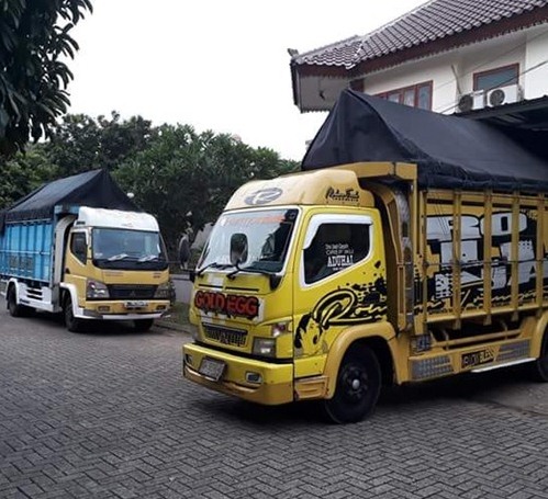  Jenis  Truk  yang Cocok untuk Pindahan Rumah Jasa Angkutan 