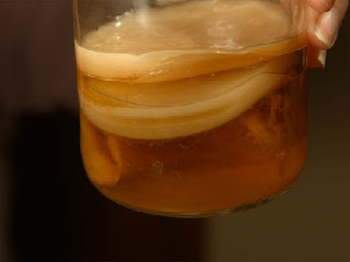 Kombucha