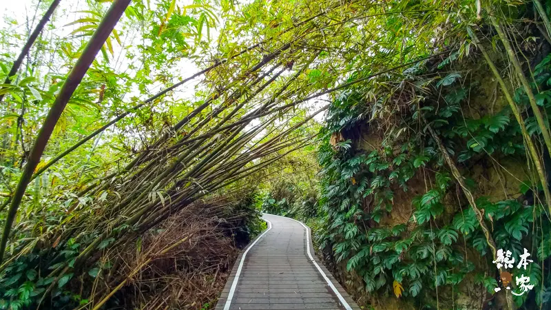 小琉球山豬溝生態步道-彷如阿凡達中身處潘朵拉星上的納美人禁地🍎隱藏🍎