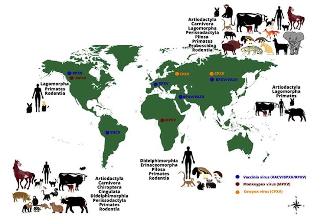 ¿Qué se sabe sobre la viruela símica? Un microbiólogo y un biólogo de la UCR lo explican