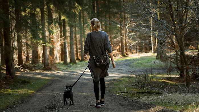 female dog trainer