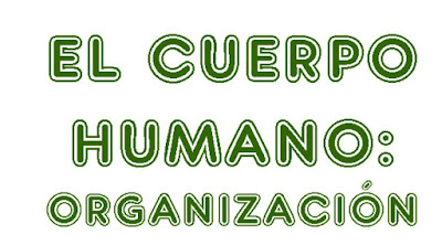 http://cplosangeles.juntaextremadura.net/web/quinto_curso/naturales_5/organizacion_cuerpo_5/organizacion_cuerpo_5.html