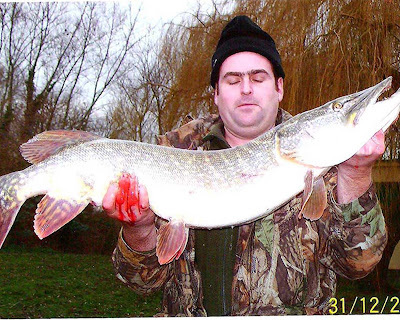 European pike