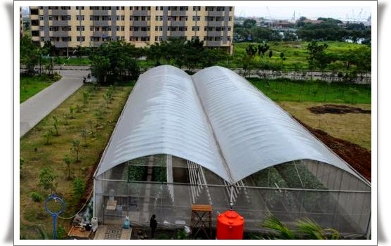 green house marunda