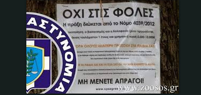 ΝΕΑΠΟΛΗ:ΔΗΛΗΤΗΡΙΑΣΑΝ ΓΑΤΕΣ ΣΤΗΝ ΠΕΡΙΟΧΗ ΤΗΣ ΑΓΙΑΣ ΤΡΙΑΔΑΣ