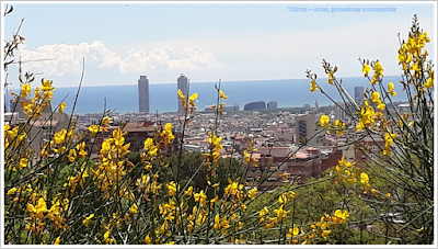 Barcelona; Conhecendo a Europa; sem guia; turismo na espanha; Park Guell; 