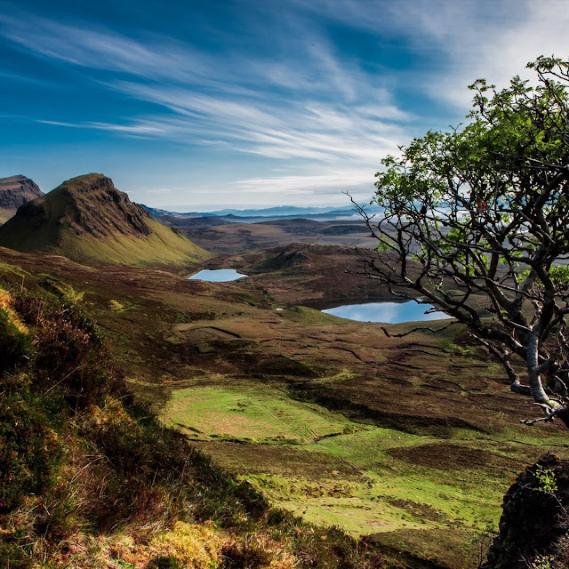 Scotland Trees Mountains Lake