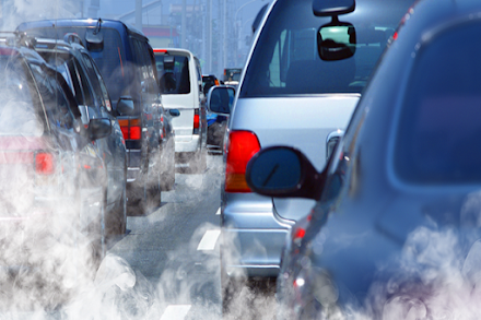 Every Organ Is Affected by Car Pollution, Experts Suggest