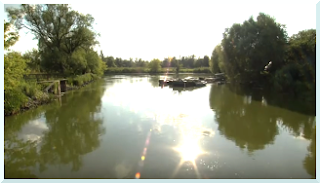 The Havel river flowing towards regeneration