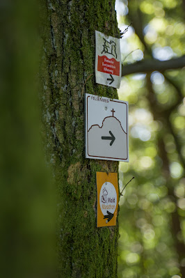 Felsenweg Gossersweiler-Stein | Wanderung Südliche Weinstrasse - Pfälzerwald 16