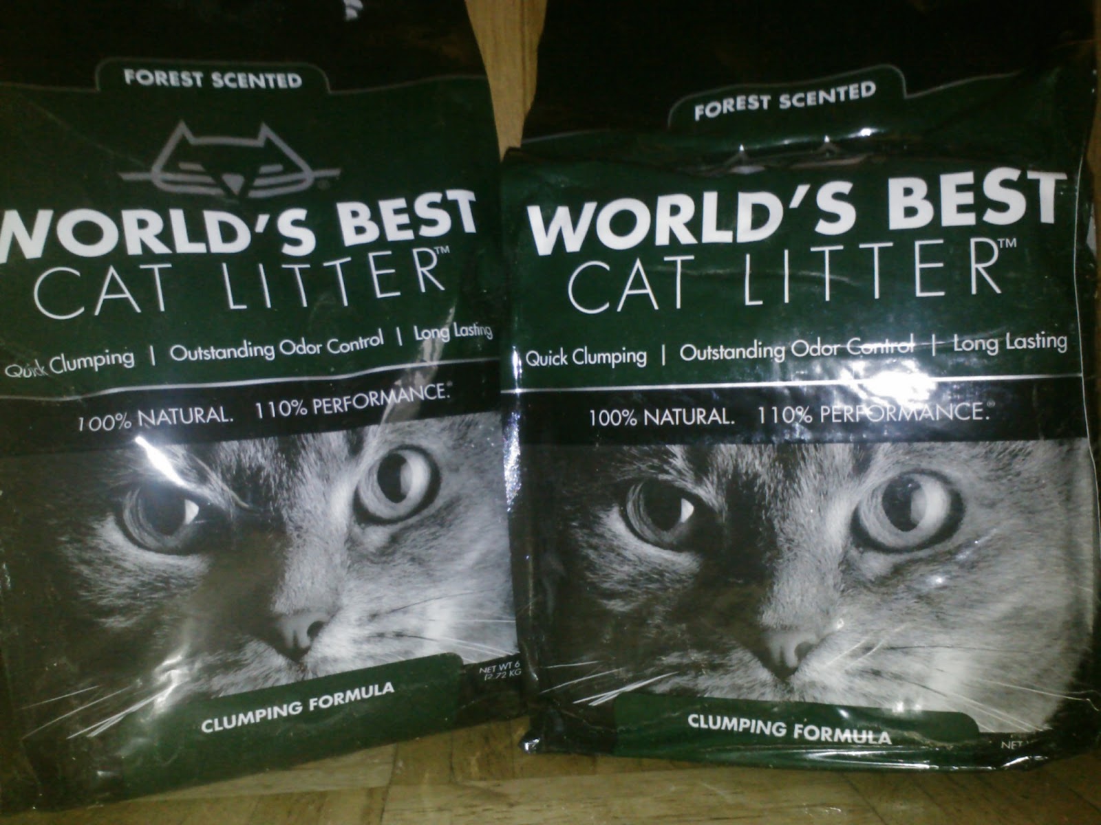 World s Best Cat Litter  Pawsitively Pets
