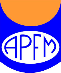 Associação Pelotense de Futebol de Mesa