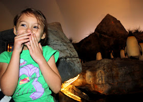 For some reason, the penguins and puffins really cracked up Tessa. She giggled the entire way through  the exhibit.